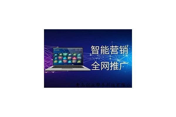 利用网站做蜘蛛池