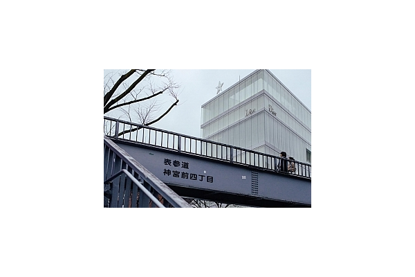 蜘蛛池养多久才能用_蜘蛛池新手入门