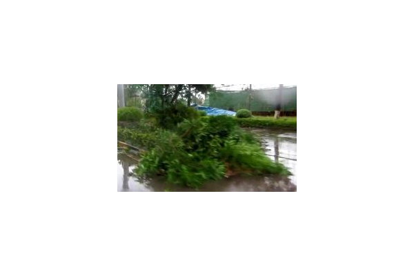 搭建蜘蛛池需要多少钱_蜘蛛池一般一天多少蜘蛛