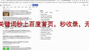 蜘蛛池外链_蜘蛛池如何搭建