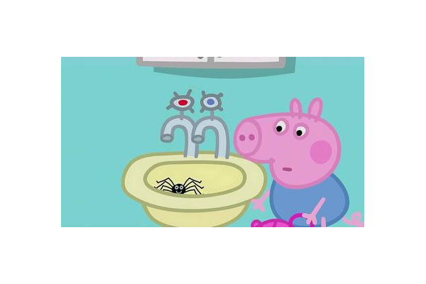 洗手池出现蜘蛛