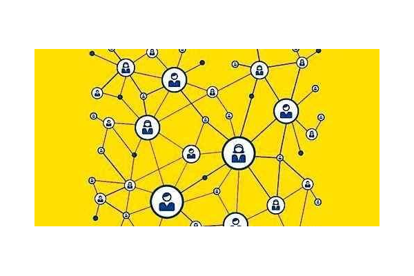 网站如何放进蜘蛛池