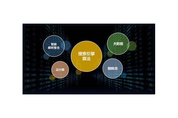 云蜘蛛池是什么